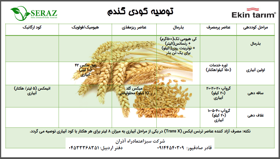 برنامه کودی گندم